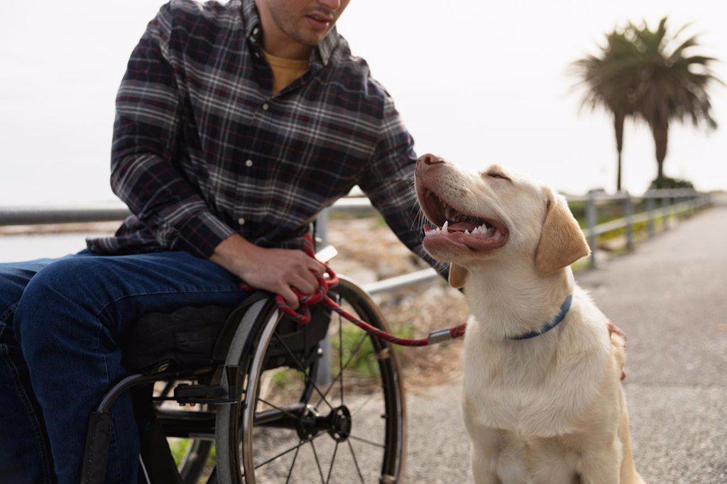 Front view close up of a young Caucasian man in a wheelchair taking a walk with his dog in the countryside