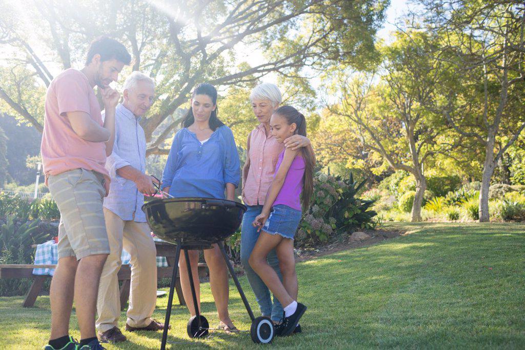 Family preparing barbecue in the park on a sunny day