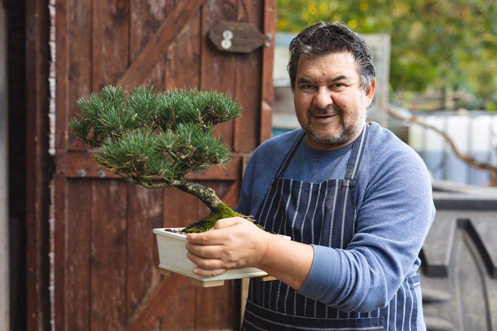 Portrait of smiling caucasian male gardener holding bonsai tree at garden centre. specialist working at bonsai plant nursery, independent horticulture business.