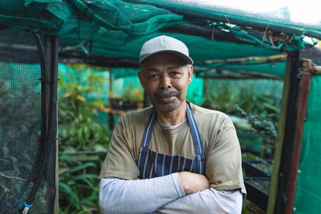 Portrait of african american male gardener with crossed hands looking at camera at garden centre. specialist working at bonsai plant nursery, independent horticulture business.