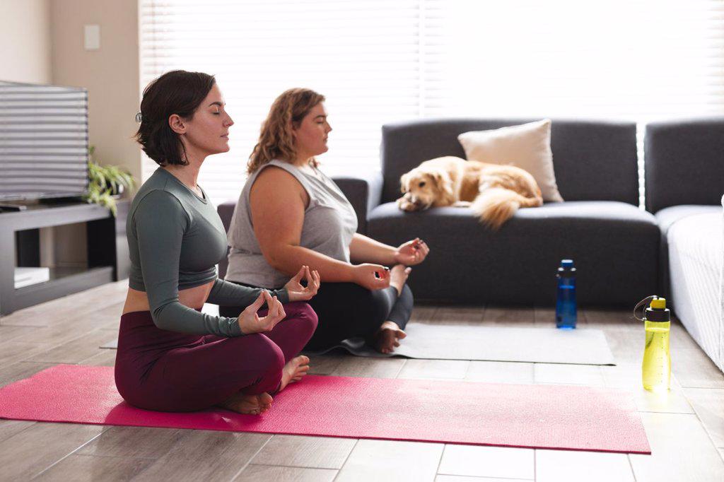 Lesbian couple practicing yoga, meditating on yoga mats. domestic lifestyle, spending free time at home.