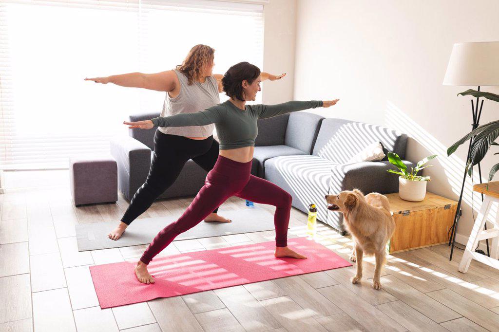 Lesbian couple practicing yoga, stretching on yoga mats. domestic lifestyle, spending free time at home.