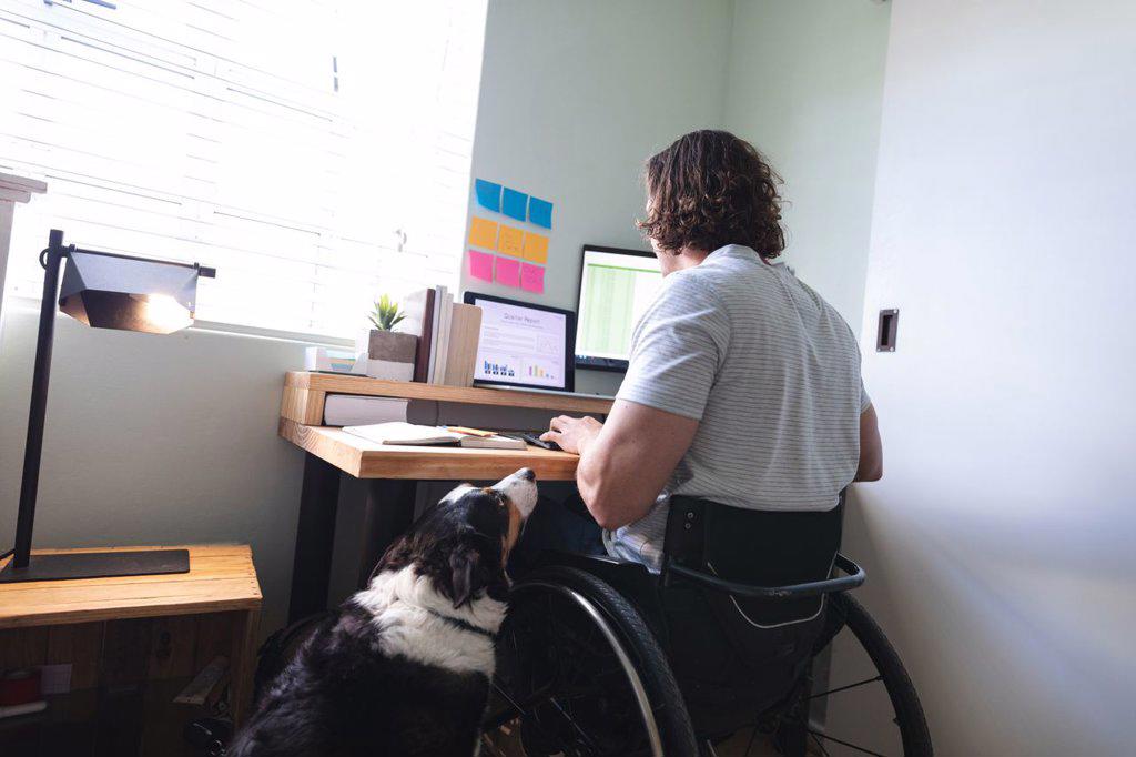 Caucasian disabled man sitting on wheelchair using laptop working from home. disability and handicap concept