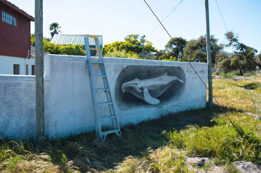 Ladder leaning on wall with creative whale mural painting during sunny day. street art and creativity.