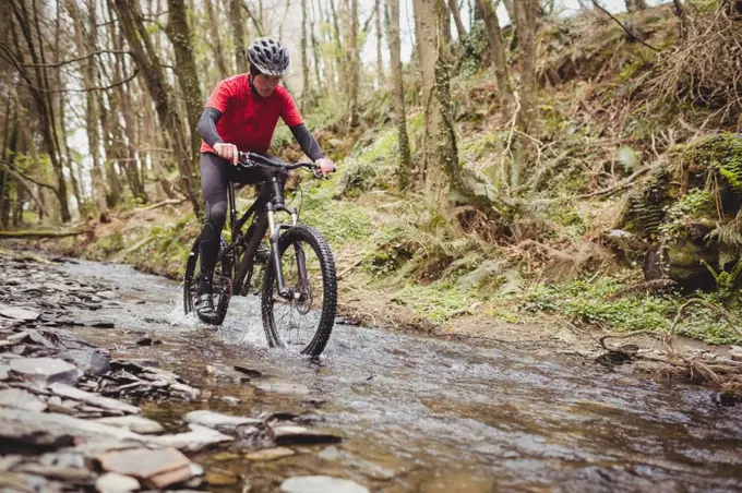 Front view of mountain biker in stream amidst trees at forest