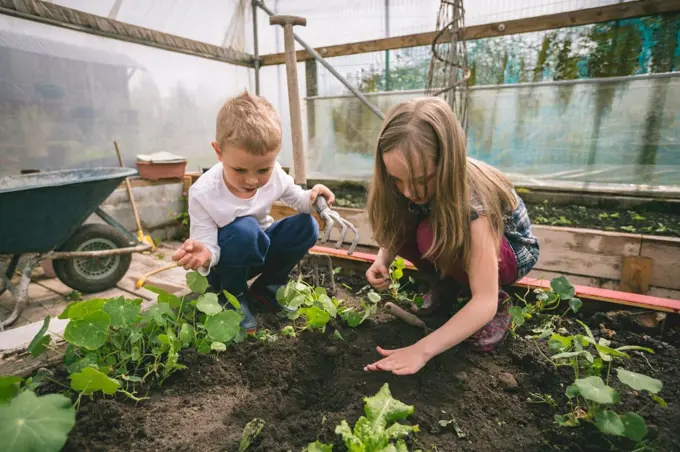 Kids gardening together in greenhouse