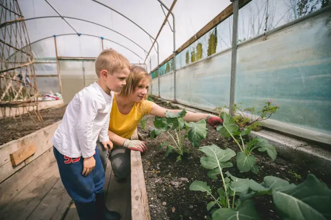Mother and son gardening together in greenhouse