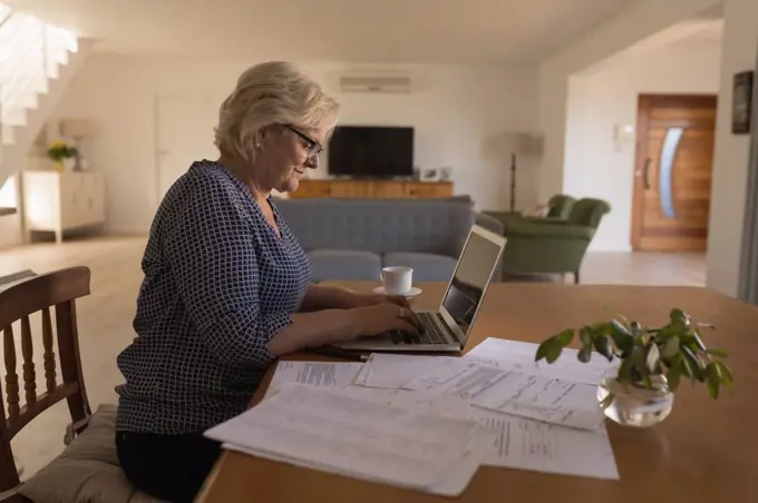 Side view of senior woman using laptop at home