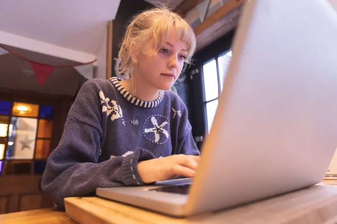 Close-up of woman using laptop at home