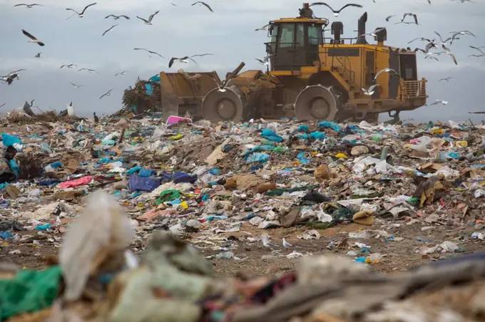 Flock of birds flying over bulldozer working and clearing rubbish piled on a landfill full of trash with cloudy overcast sky. Global environmental issue of waste disposal.