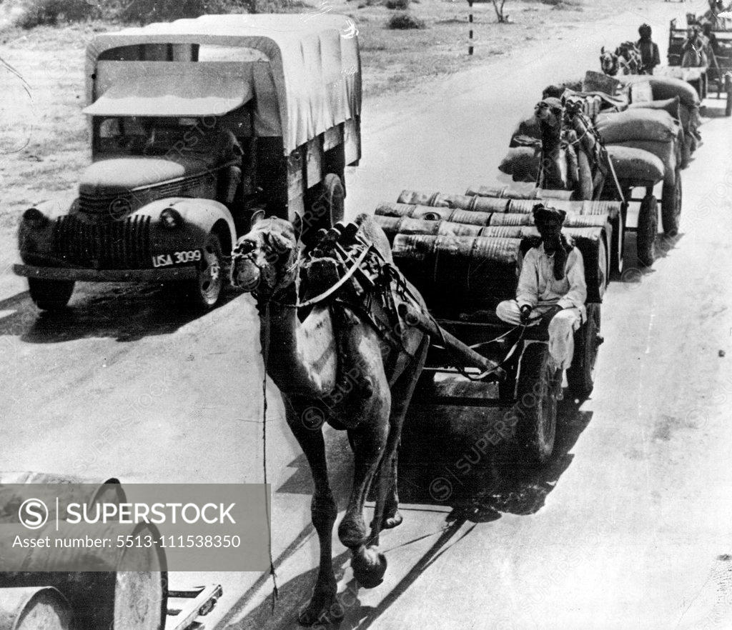 Stock Photo: 5513-111538350 A modern truck passes a camel both ***** with materials for U.S. troops in India. January 17, 1943.