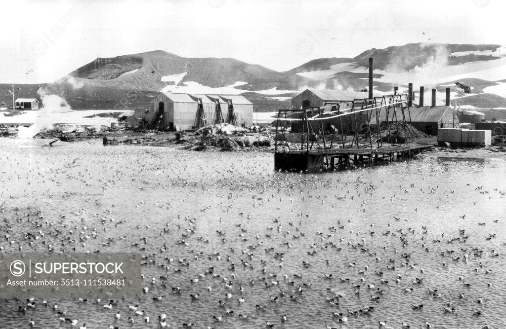 Stock Photo: 5513-111538481 First Photos Walkins-Hearst Antarctic Expedition: A view of the surface of the water in deception island harbor literally covered with birds. March 14, 1929. (Photo by Universal Service).