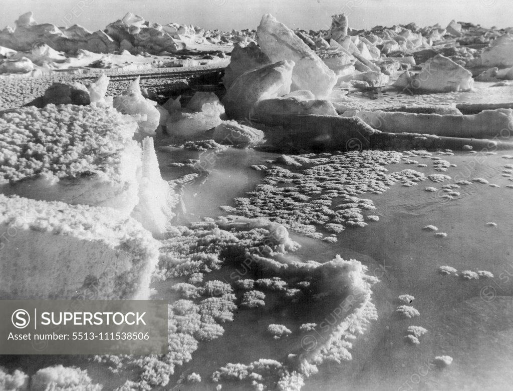 Stock Photo: 5513-111538506 Beautiful Rosette Crystals make a fairyland of the edge of the shattered floes in the Antarctic ice-park. The formations are of remarkable regularity and fragile delicacy. June 23, 1930. (Photo by The Herald Feature Service).