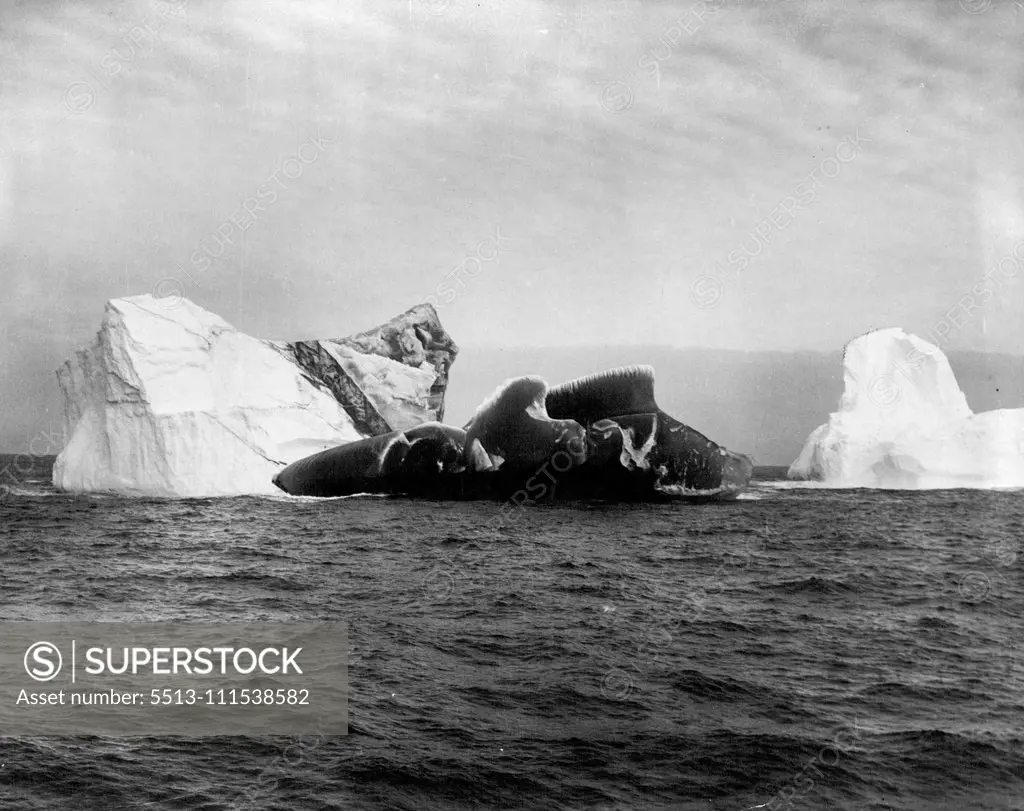 A bottle-green berg off Visokoi Isle, South Sandwich Islands. September 25, 1933. (Photo by Central Press).