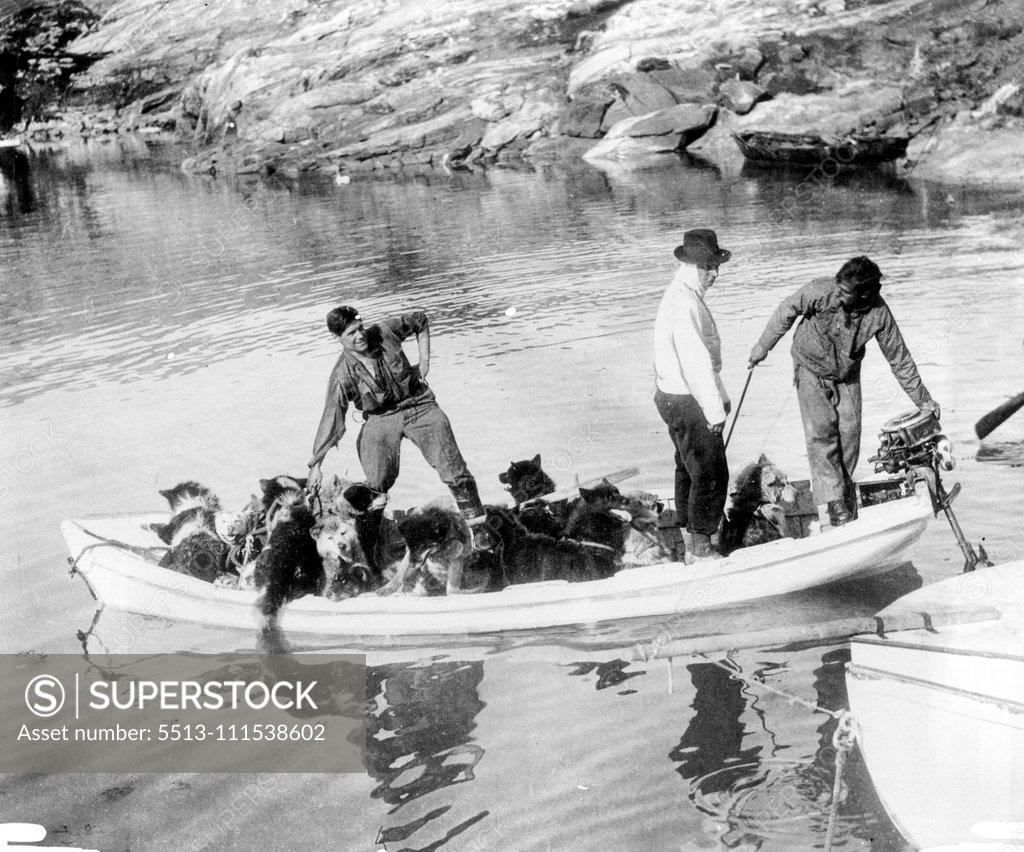 Stock Photo: 5513-111538602 British Arctic Air Route Expedition: Ferrying dogs across the Fjord for the beginning of the journey. Left to right - Scott, Hampton and Courtauld. September 15, 1931. (Photo by British Arctic Air Route Expedition Photograph).
