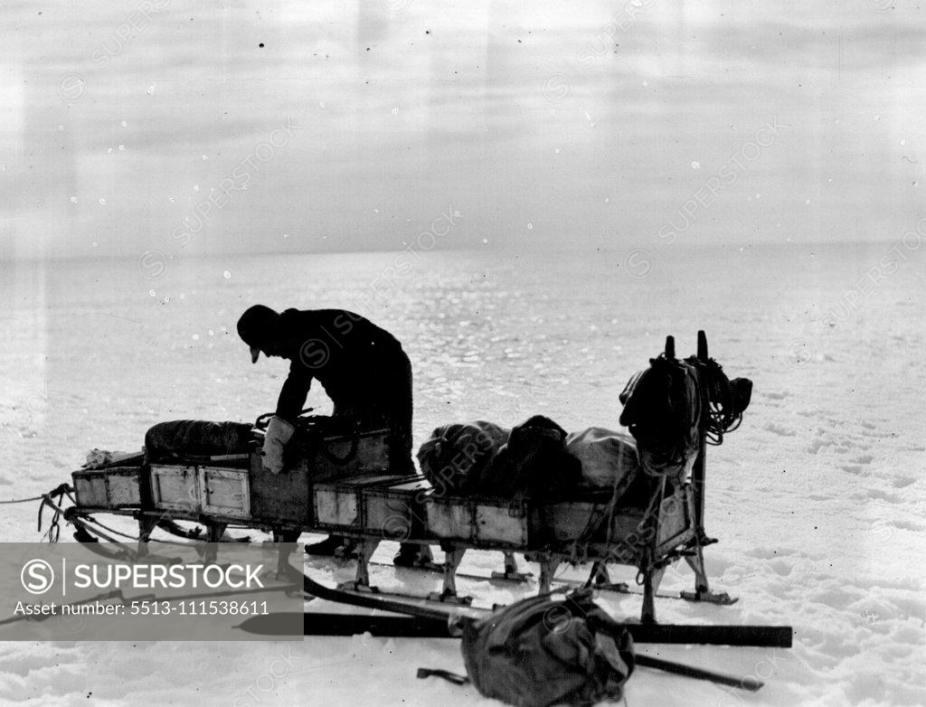 Stock Photo: 5513-111538611 British Arctic Air Route Expedition: Scott loading his sledge at evening time in preparation for travelling at night when the Ice Cap is harder and better for travelling. September 15, 1931. (Photo by British Arctic Air Route Expedition Photograph).