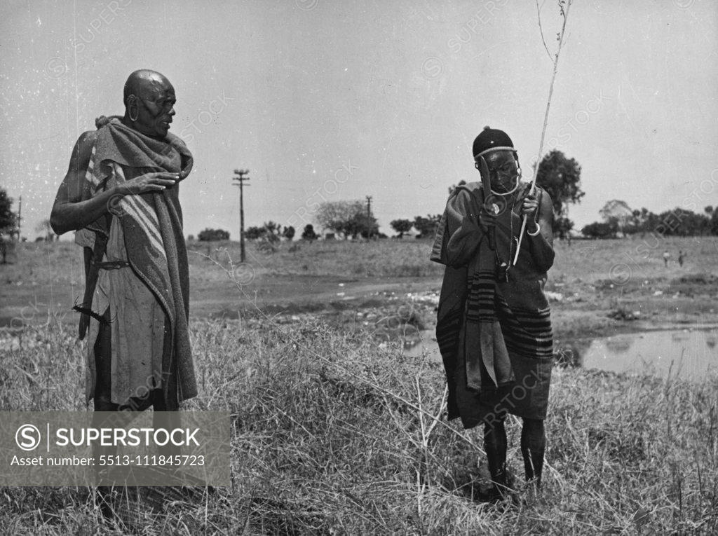 Stock Photo: 5513-111845723 On the left, Gichire, an elder and member of the Kiambu African Tribunal court, begins to cut the branches of the Migere Bush, traditionally used as the support for the Thenge Stone in ceremonies. On the right stands Mwaura, Six-feet-four inches in height and the Caliban of the piece. They form the team in the ceremony, Gichere, the fearsome and sacred brain, Mwaura, the executive and medium for the curse. December 11, 1952.;On the left, Gichire, an elder and member of the Kiambu African Tribuna