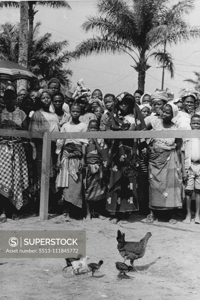 Stock Photo: 5513-111845772 African People ian. February 17, 1955. (Photo by Joseph McKeown, Picture Post).;African People ian.