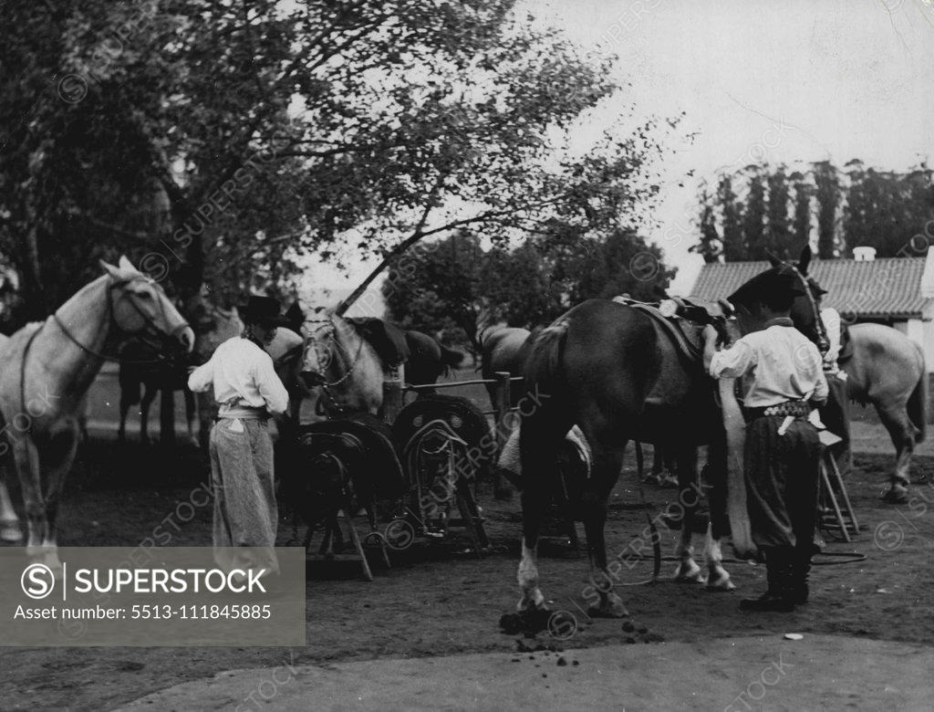 Stock Photo: 5513-111845885 Gauchos getting ready to go to work. June 1, 1949. (Photo by Gisele Freund, Camera Press).;Gauchos getting ready to go to work.