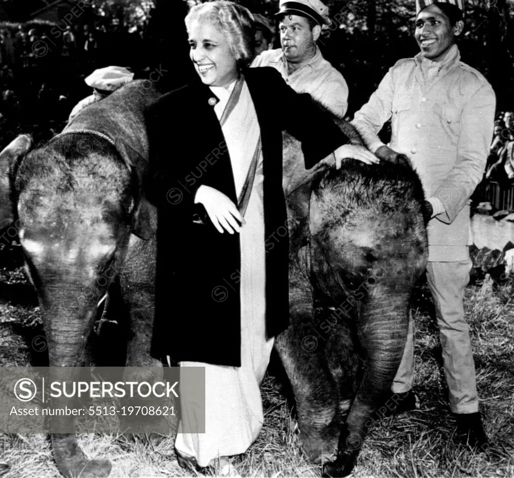 Madame Ambassador Presents Elephants To Zoo -- Madame Vijaya Pandit, India's Ambassador to the United States, Stands smiling between two baby Elephants as she presents them to the National Zoological Park today as a gift from Prime Minister Jawaharlal Nehru of India. The newly-arrived babies are "Shanti" (left), a 2 1/2 year old female, and "Ashok", a two year old male. The trainer who brought them from Bombay to New York by ship and to Washington by truck, Baby Jan stands at right. April 16, 1950. (Photo by AP Wirephoto).