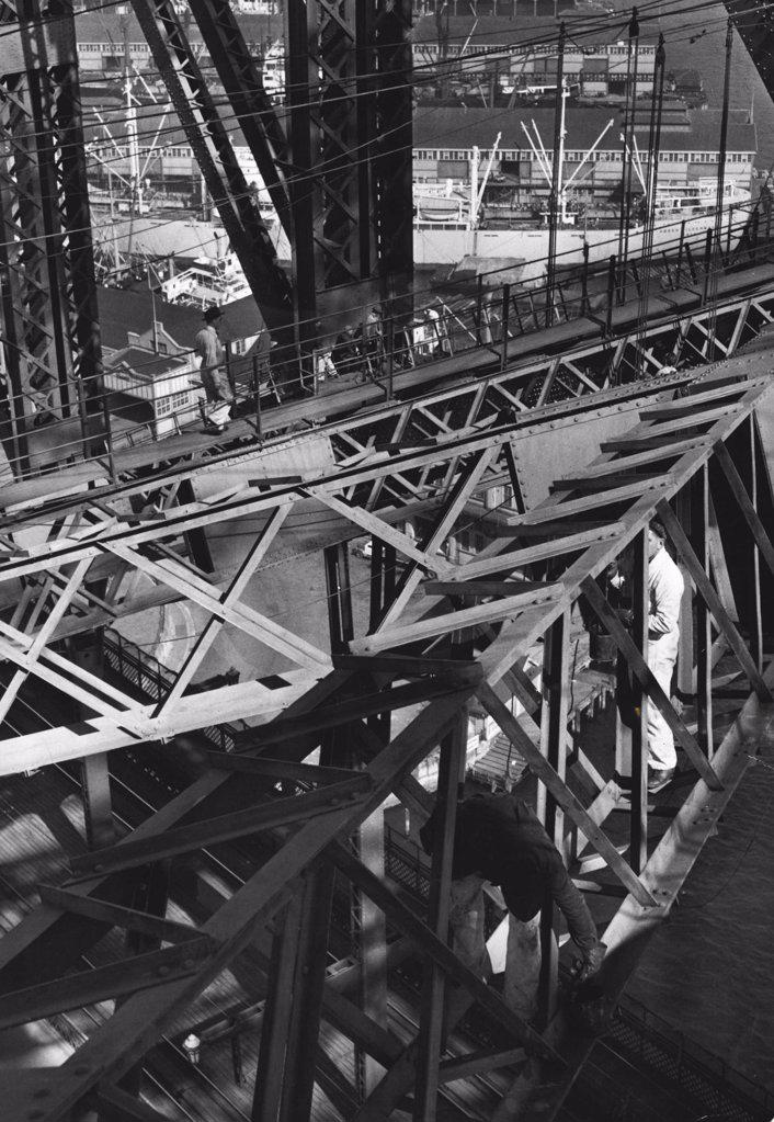 Like Busy spiders in a Huge steel web, the team of painters on the bridge climb Nonchalantly about as they work. February 01, 1951.
