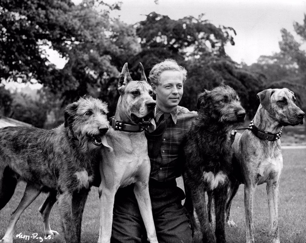 Jimmy Hanley photographer in the grounds of Denham Studios with some of the magnificent dogs owned by Mr. J.V. Rank.
Directed by Jeffrey Dell at Denham, Two Cities' "It's Hard to be Good" stars Anne Crawford, Jimmy Hanley with Geoffrey Keen, Joyce Carey, Raymond Huntley i main feature roles - Associate Producer John W. Gossage. May 12, 1949.