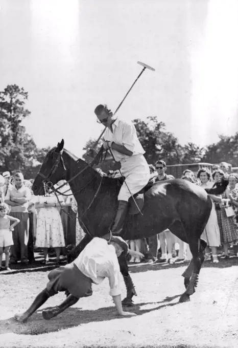The Duke of Edinburgh Plays Polo -- H.R.H. The Duke of Edinburgh is concerned as his groom falls while assisting him before the match. The groom was unhurt. The Duke of Edinburgh scored a goal for his side while playing as a member of the Maidensgrove team against Hertfordshire, in the Cowdray Park Junior Polo Cup at Sutton Place, near Guildford, Surrey. July 29, 1951. (Photo by Sport and General Press Agency Limited).