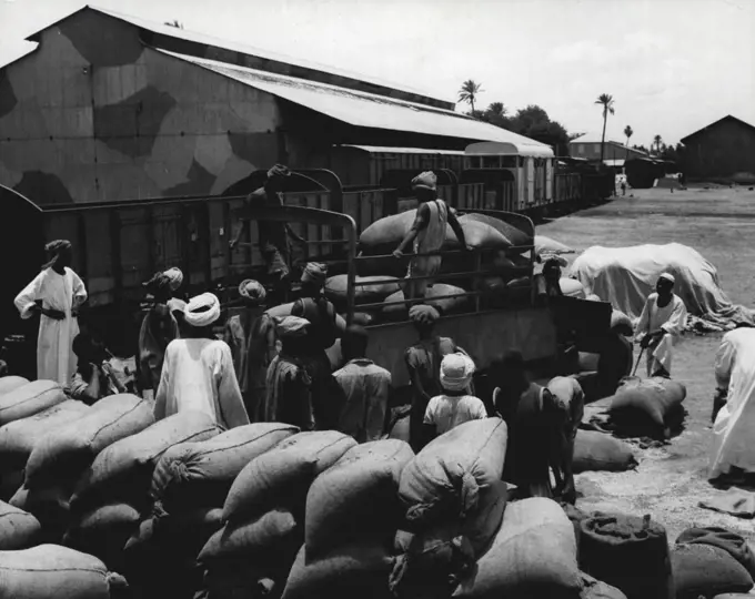 The Anglo-Egyptian Sudan -- Peanuts are exported in quantity from the Sudan and are grown in the South. They reach Port Sudan by boat and rail from where they are shipped to European markets. December 2, 1953. (Photo by George Rodger, Camera Press).