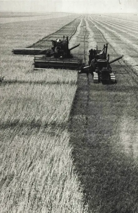 Harvesting Of The Winter Crops In The Rostov Region -- A combine aggregate of the Grain State Form No. 2, at harvesting. July 1, 1938.