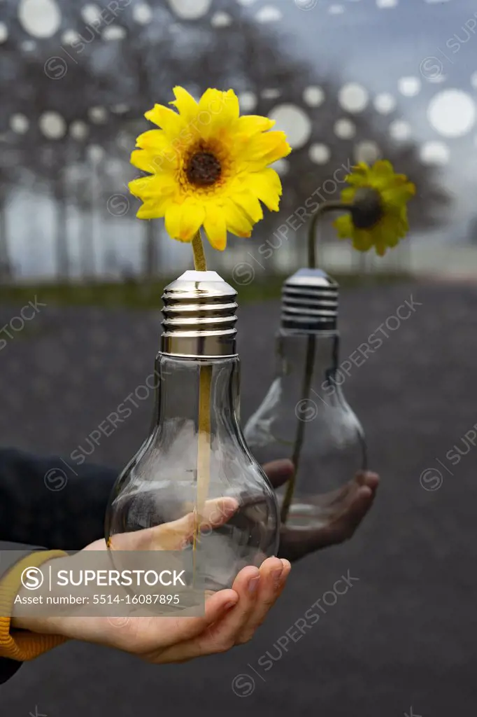 Hand catching a light bulb with a yellow flower.