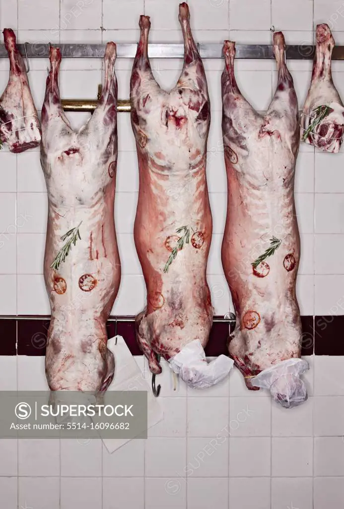 Hanging lamb carcasses in butchers shop