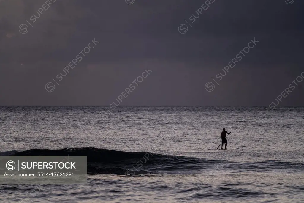Silhouette of stand up paddler in the evening in hawaii