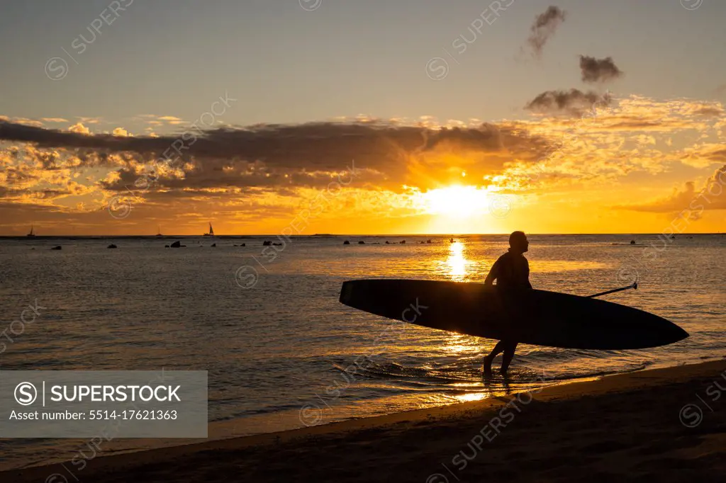 Paddle Boarding holds board and walks to beach at sunset in hawaii