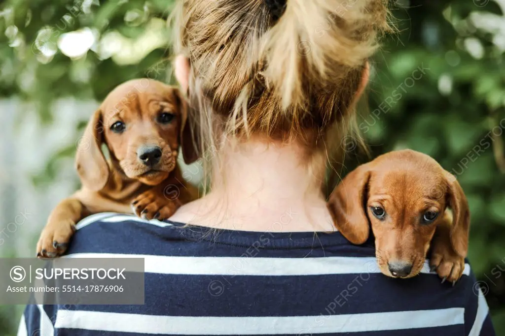 woman with puppys standing outdoors