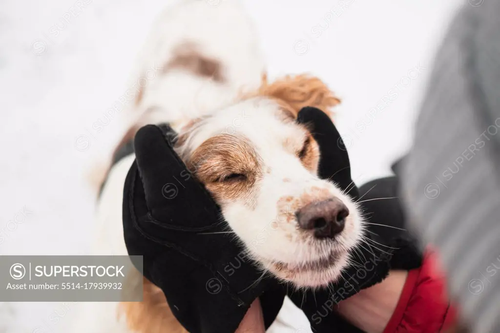 Hands in winter gloves hug a delighted dog with closed eyes.