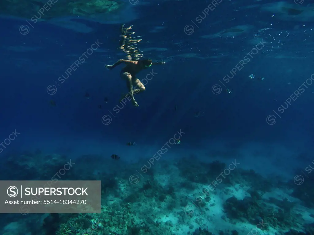 A boy is swimming under the water in red sea with fishes