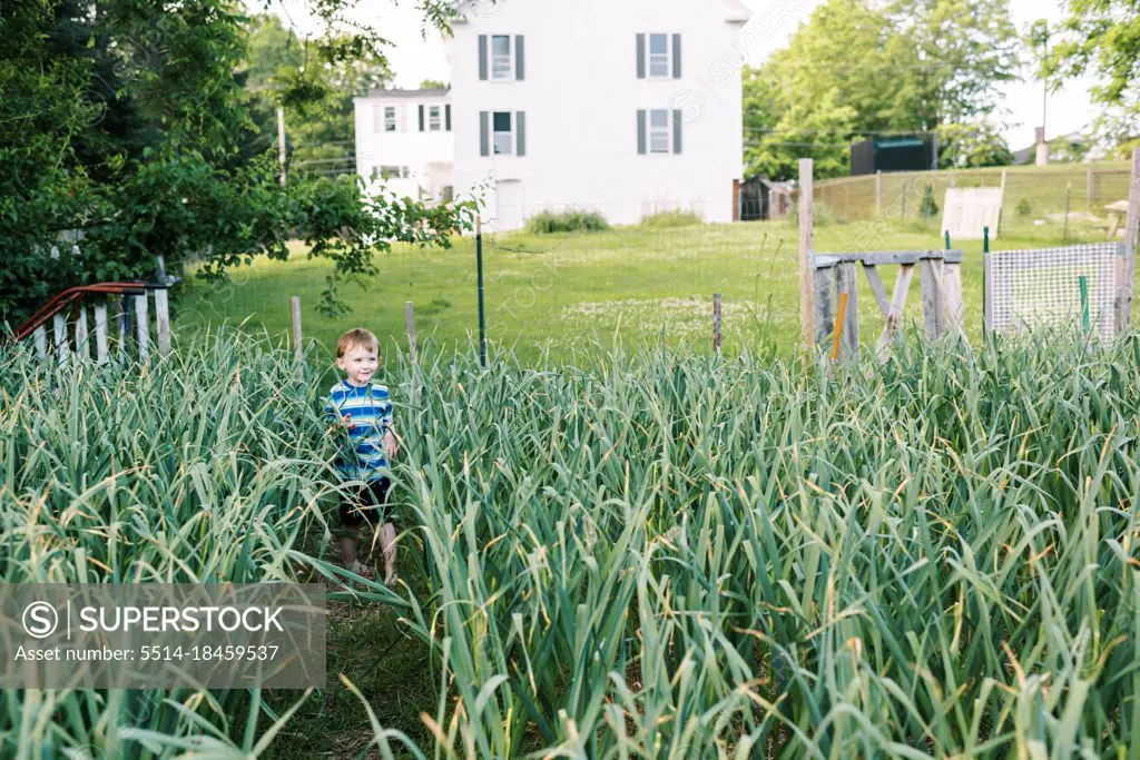 Little smiling boy playing in the backyard garlic field