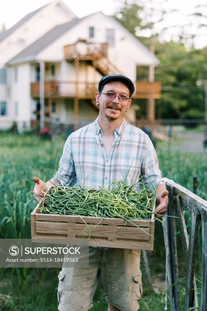 Smiling millennial farmer holding crate of harneck garlic scapes