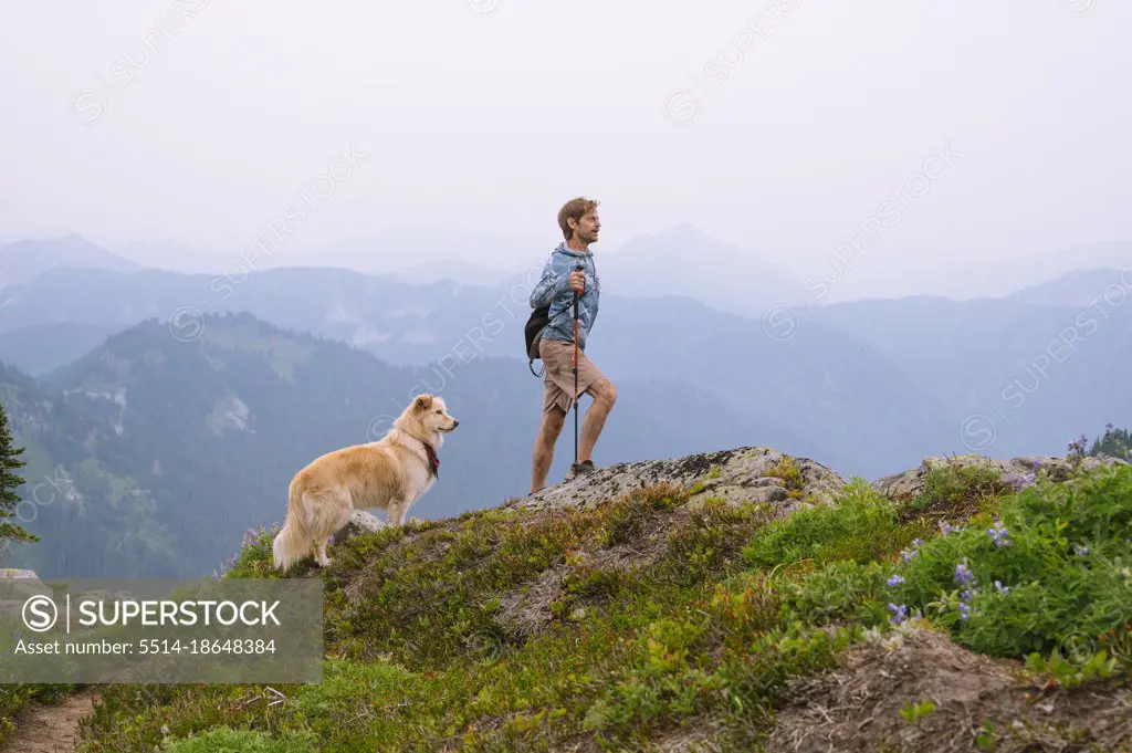 Hiking with a dog in the alpine of the north cascade mountains