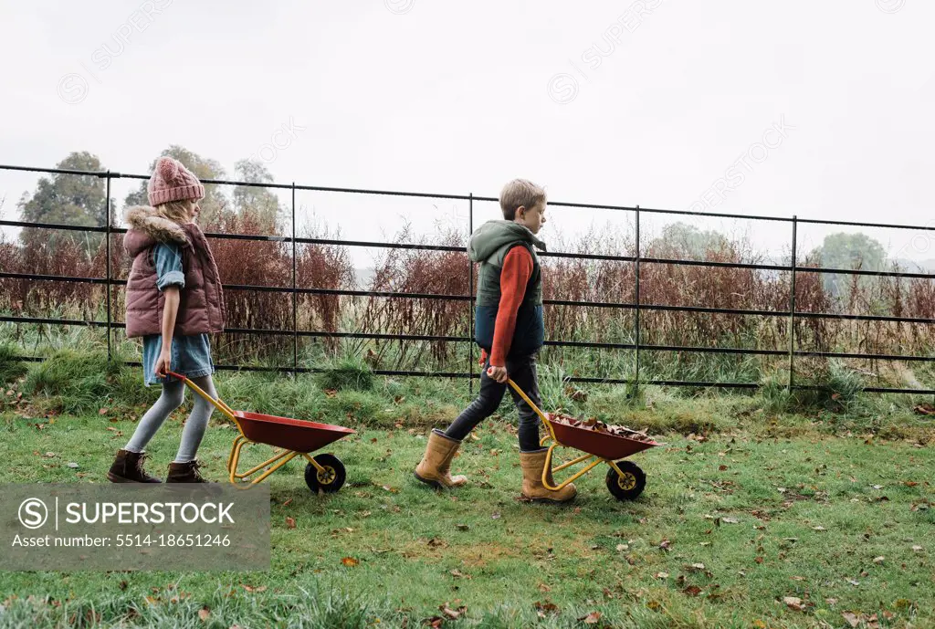 kids walking with wheelbarrows foraging in the forest in autumn