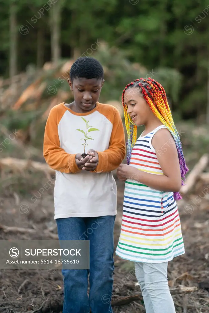 Boy holds tree sapling while sister looks on