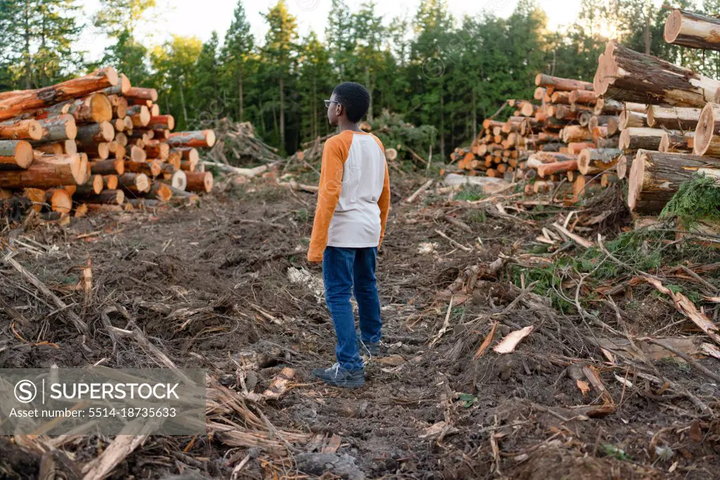 Black boy looks out over logging site