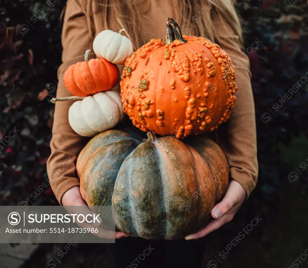 Close up of girl's arms holding a variety of pumpkins on fall day.