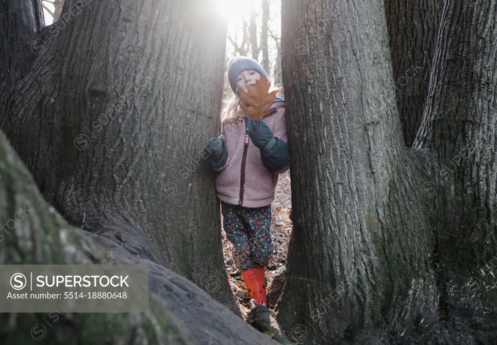 child playing in the trees with leaves in the golden light