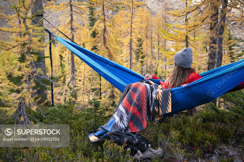 Female relaxing in a hammock in a forest of larches in the fall