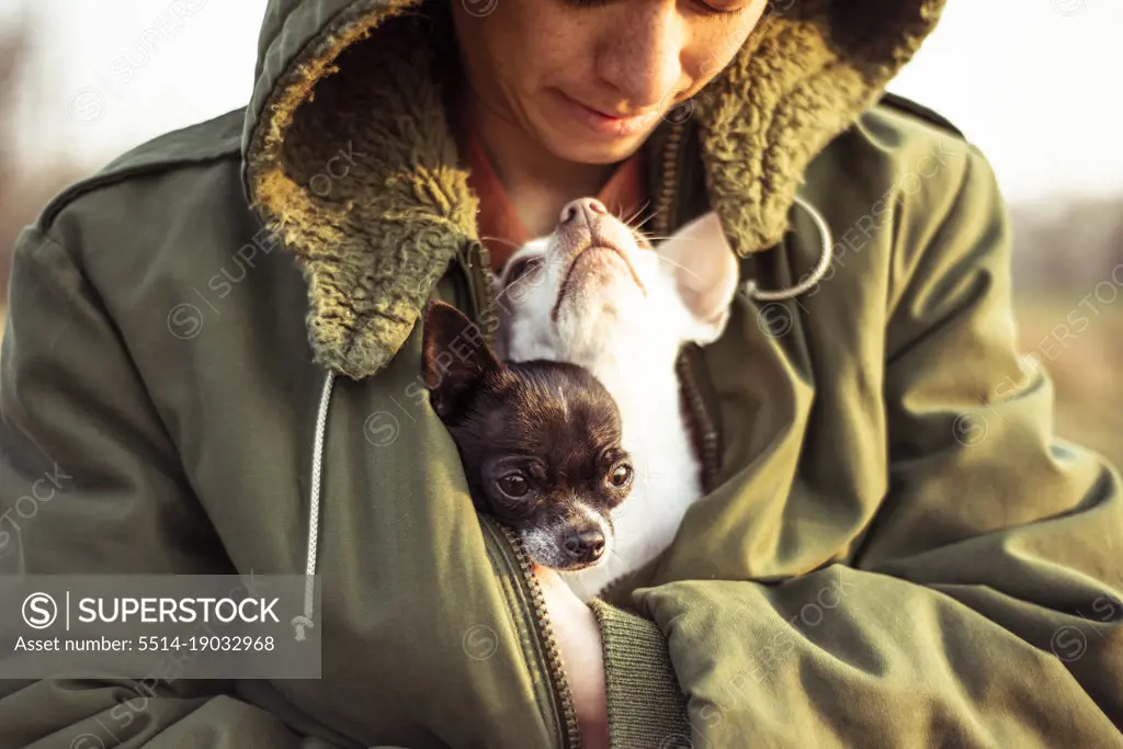cute dogs tucked in warm jacket look up at mum with love in sunlight