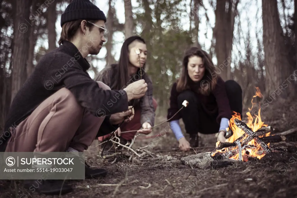 alternative friends gather and squat to roast marshmallows by fire