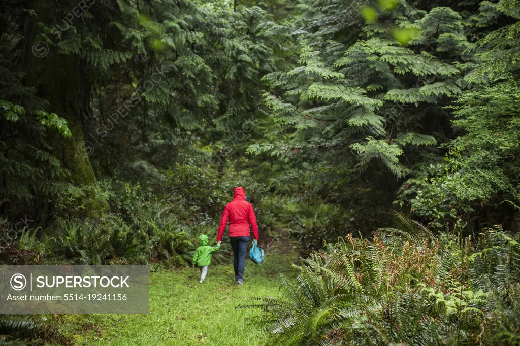A woman in raincoat walks into forest with young child