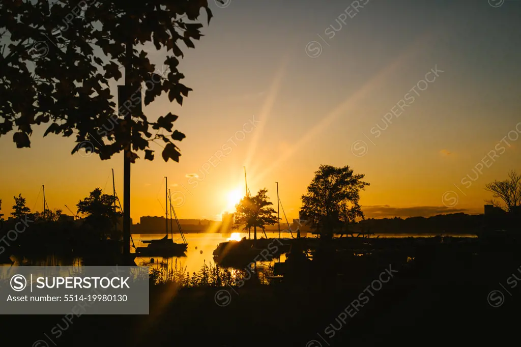 Golden sunrays during sunset over Boston harbor with boats and trees