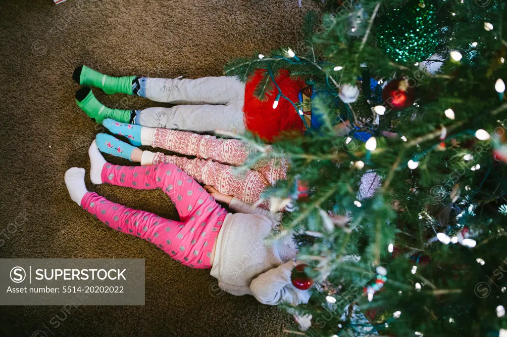 Siblings snuggle under the tree in Christmas pajamas